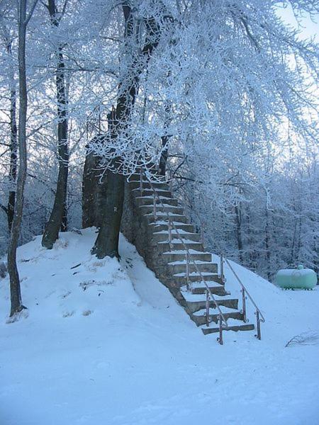 Bed and Breakfast La Trouvaille Weismes Exterior foto